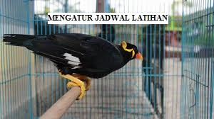 Atur Jadwal Latihan